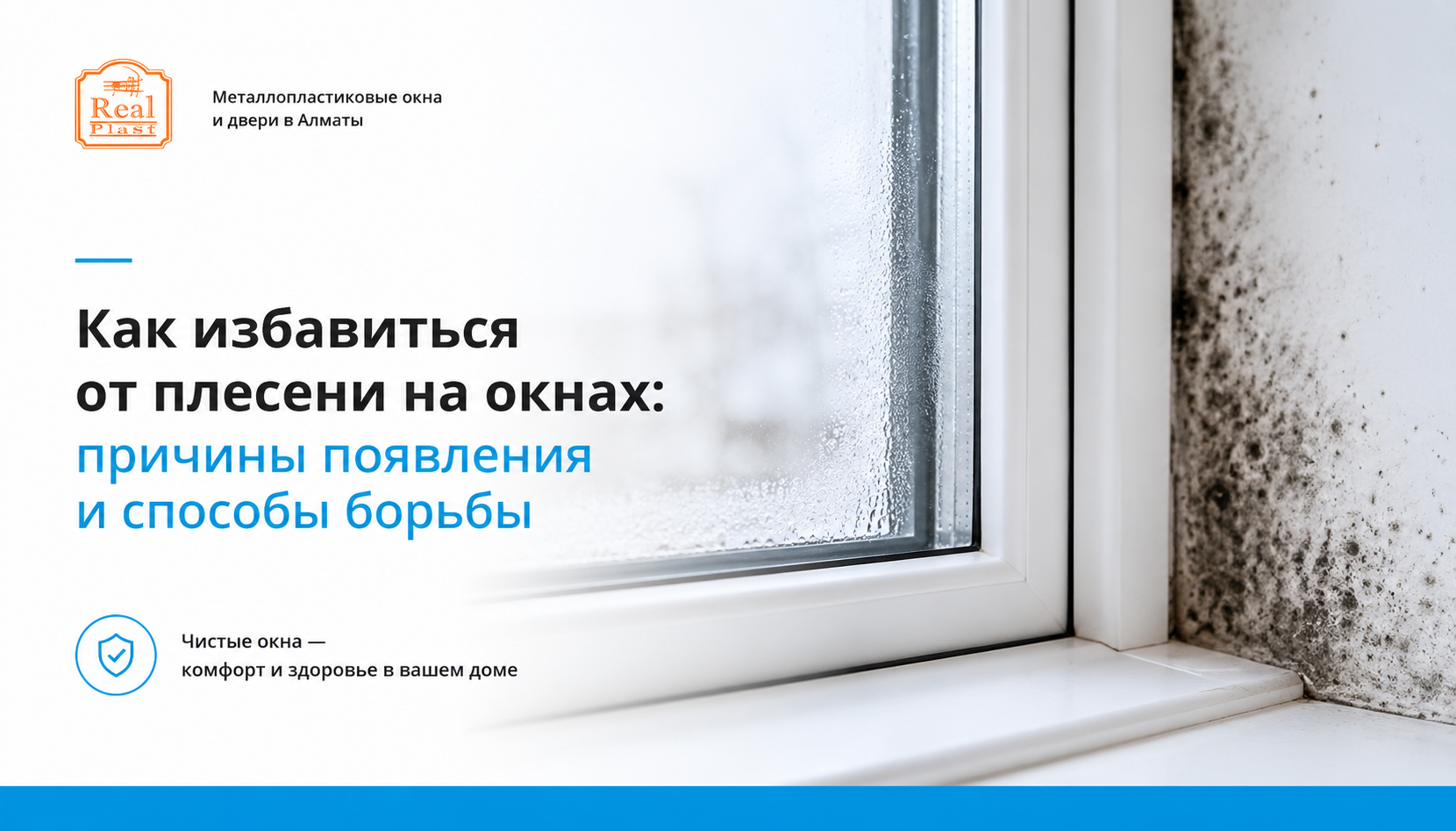 Плесень на пластиковом окне и откосах, конденсат на стеклопакете и способы борьбы с грибком